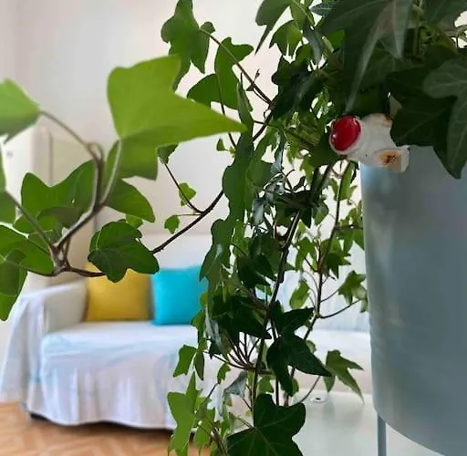 In Pieno Centro - 500 Metri Dal Mare. Viareggio